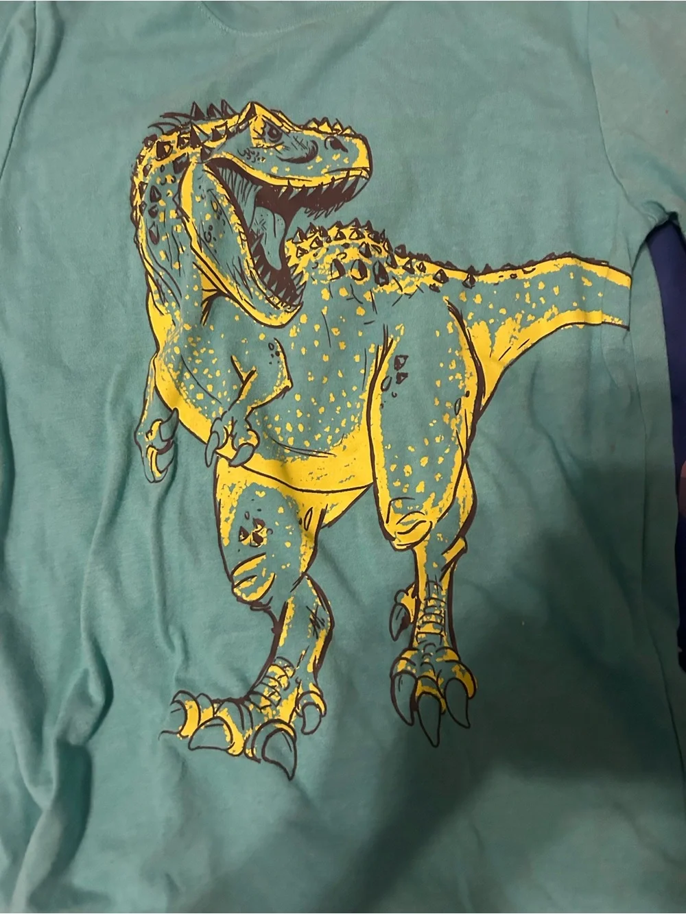 Boys Size M 8/10 Cat & Jack Long Sleeve Dinosaur Themed Shirt